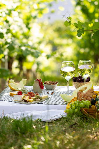 Picnic with glasses of white wine in a vineyard. Two glasses of white wine, cheese, bread, grape, berries, melon.