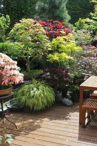 Photo showing a back yard that has been converted into a Japanese garden, with many oriental elements laid out around a koi carp pond.