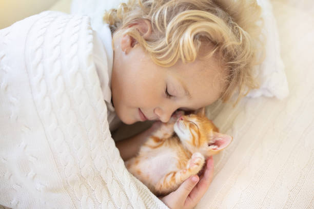 istock Baby boy sleeping with kitten. Child and cat. 1167433183