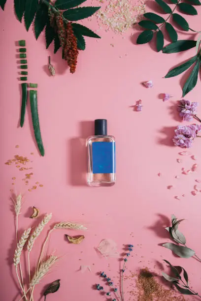 Photo of Perfume bottle with blue sticker in flowers on pink background. Spring background with aroma parfume. Flat lay