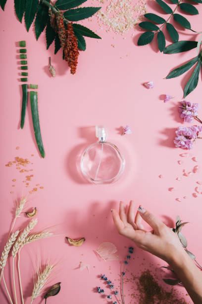 istock Transparent perfume bottle in flowers on pink background with woman's hand. Spring background with aroma parfume. Flat lay 1167433491
