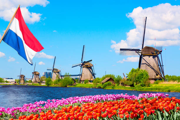 オランダ、ヨーロッパのカラフルな春の風景。オランダのチューリップの花壇とキンデルダイク村の有名な風車。前景のオランダの旗 - オランダ ストックフォトと画像
