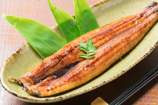 glaze-grilled eel, kabayaki, grilled unagi
