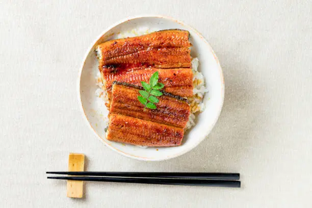 Grilled eel rice bowl, Eel Don