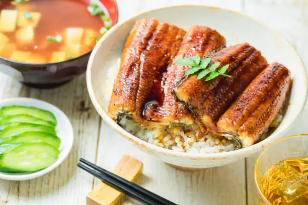 Grilled eel rice bowl, Eel Don