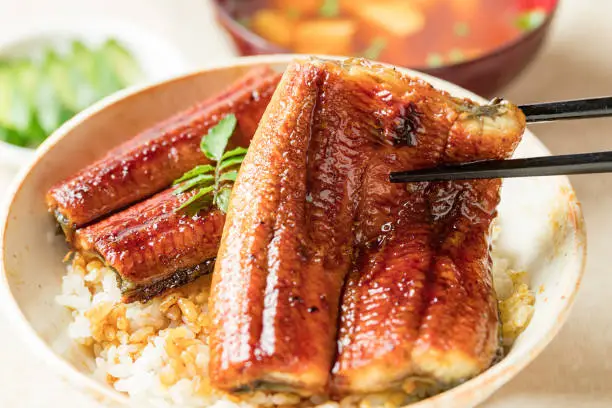 Grilled eel rice bowl, Eel Don