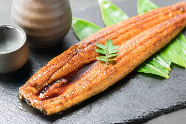 glaze-grilled eel, kabayaki, grilled unagi