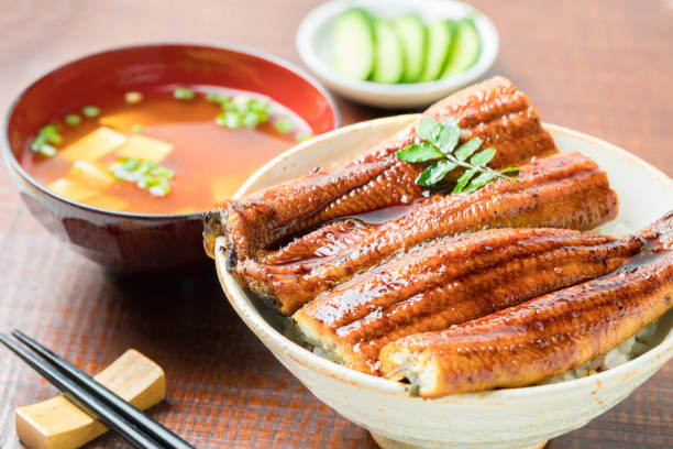 bol de riz à l'anguille grillé, eel don - chopsticks rest photos et images de collection