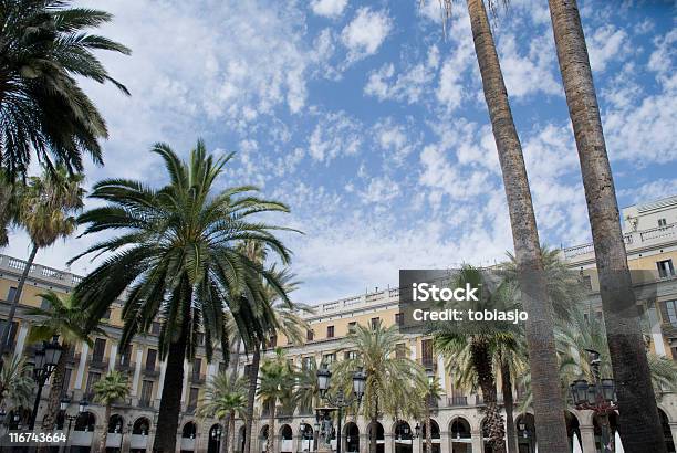 Placa Reial バルセロナ - 市場広場のストックフォトや画像を多数ご用意 - 市場広場, 樹木, カタルーニャ州