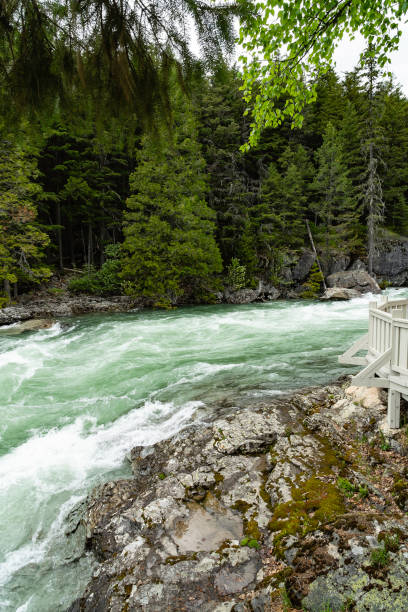 istock Rapids in Glacier National Park 1167436845
