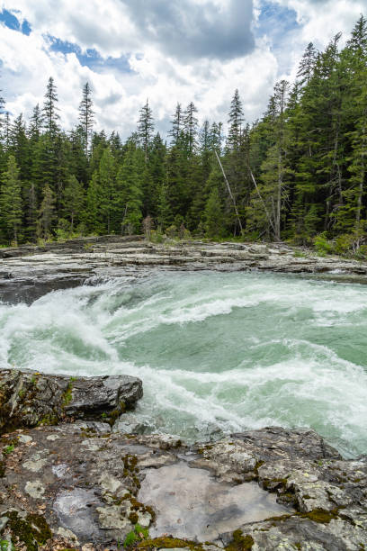 istock Rapids in Glacier National Park 1167436950