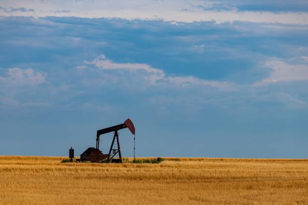 istock Oil drill in field 1167439428
