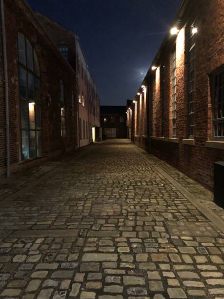istock Cobbled alleyway at night 1167444537