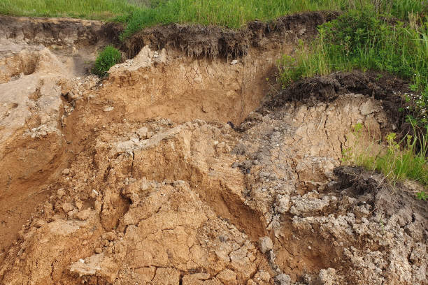 istock Soil cut due to landslide 1167444878