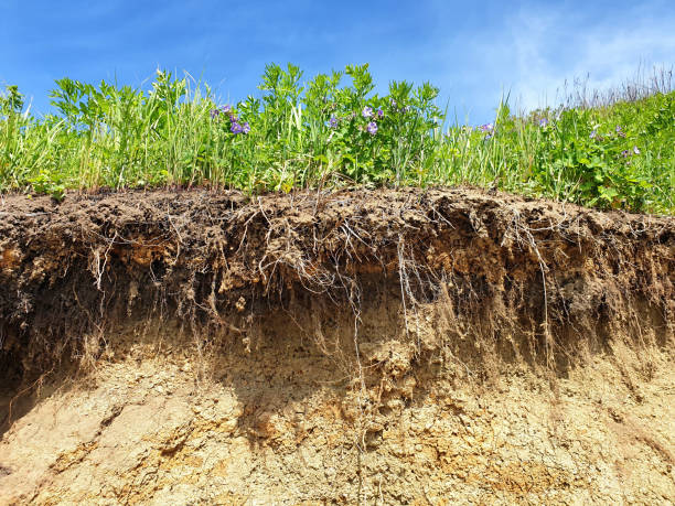 istock Soil cut due to landslide 1167444924