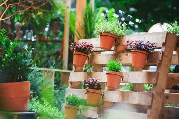 DIY recycled wooden pallet for flower pots. Storage industrial pallet used in gardening for a wall decoration as a shelf for flowerpots. Garden with planters made of recycled wooden pallets