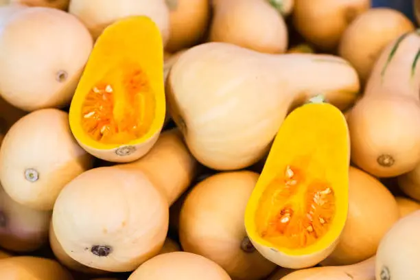 Photo of Fresh Honeynut Butternut Squash at a produce stand. Raw Orange Organic Butternut Squash Ready to Bake. Butternut Squash textured background selective focus.