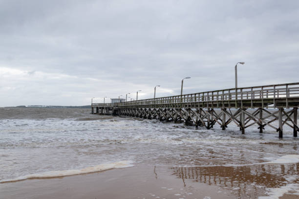 istock beautiful wooden pier on the ocean coast 1167452145