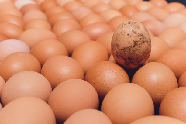 istock Many eggs lie together on each other, brown eggs, a lot of chicken eggs. 1167453041