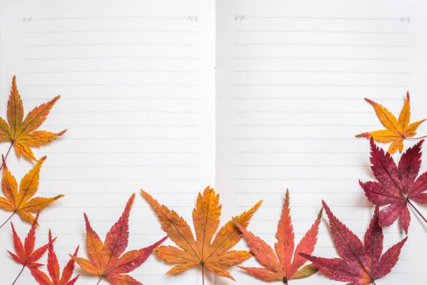 istock Blank note book paper texture line pattern background for handwriting with colorful autumn leaves frame 1167456308