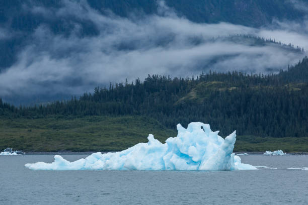 アラスカのプリンスウィリアムサウンドで転がる霧の前で氷山。 - glacier alaska iceberg melting ストックフォトと画像