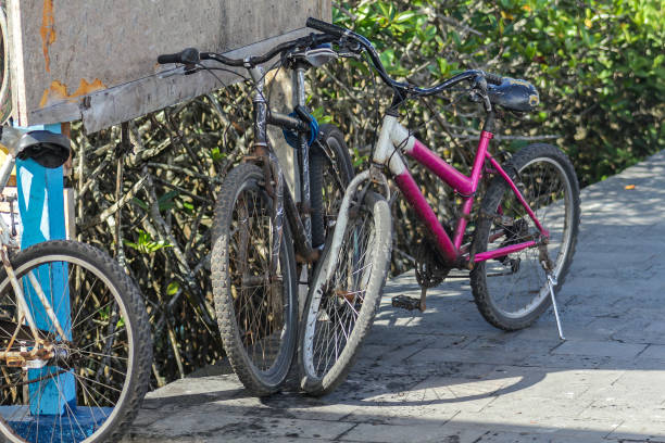 istock Bicycles parked in a park space next to a sign 1167464408