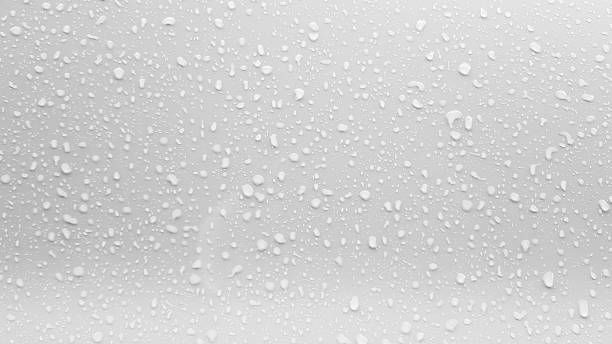 istock The concept of water drops on a white background 1167471345