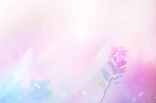 istock color flower for background design concept 1167475482