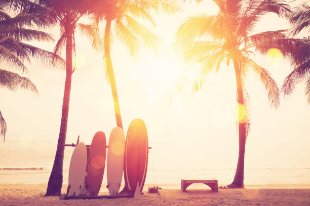 istock Surfboard and palm tree on beach double exposure with colorful bokeh sun light texture abstract background. 1167479378
