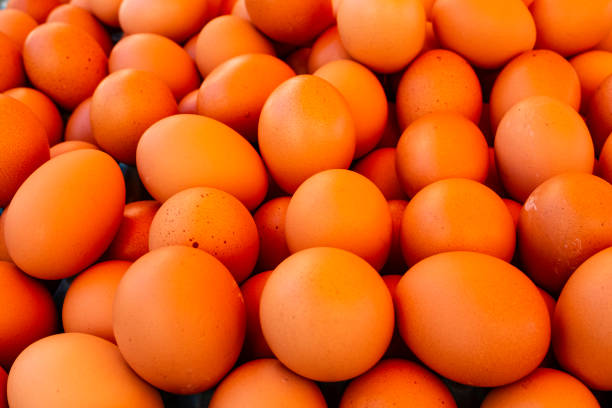 istock Large amount of redneck eggs 1167480162