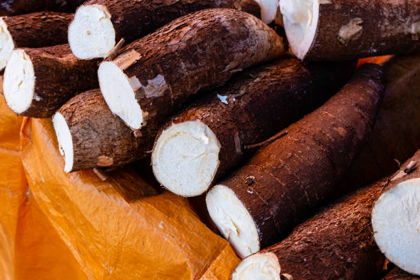 istock Shredded cassava being sold at street fair 1167480302