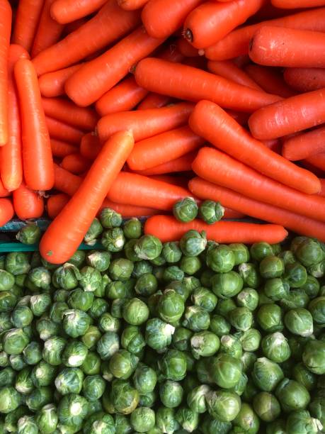 Carrots And Sprouts