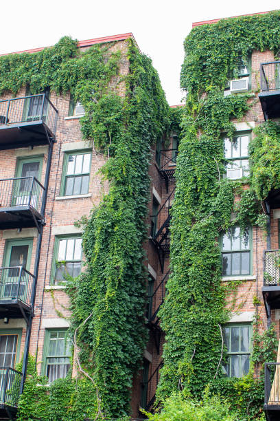 istock Nature in the city 1167481530