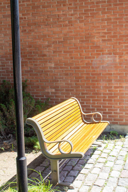istock An inviting spot to rest in the sun 1167482188