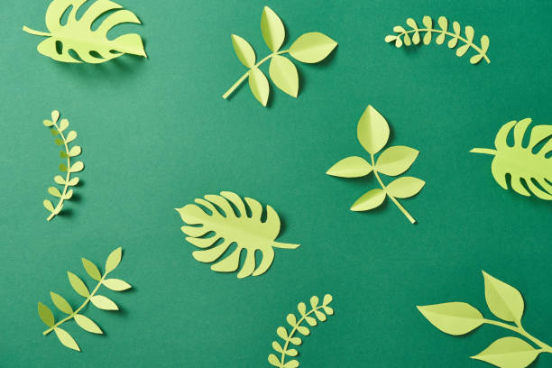 istock pattern of exotic paper cut palm leaves on green background with copy space 1167482433