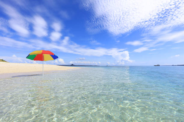 istock Beach and tropical sea. 1167485494