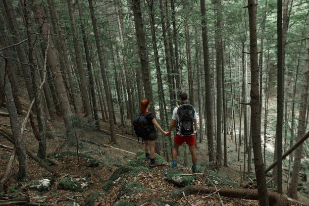 istock Hiking family in the forest 1167486583