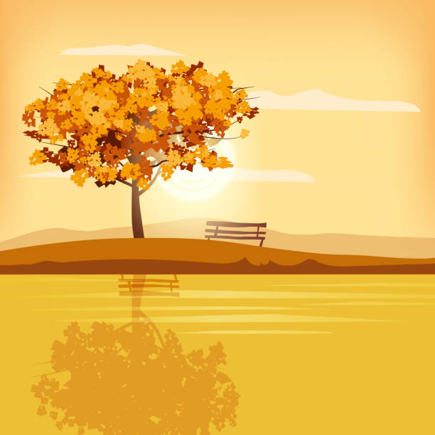 illustrations, cliparts, dessins animés et icônes de paysage d'automne paysage rural paysage extérieur jaune jaune brun brun feuilles feuillage automne coucher du soleil panorama d'humeur de lamune banc de réflexion de lac. baner d'affiche isolé de vecteur - tree reflection lake landscape