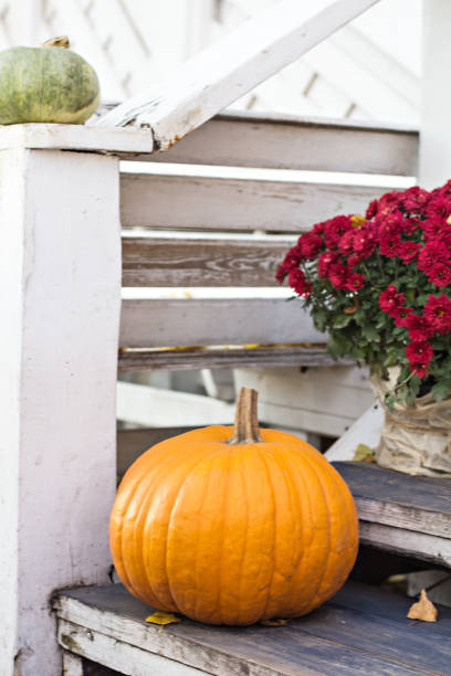 outono ainda vida. flores da abóbora e do outono no patamar. - front door front stoop house yellow - fotografias e filmes do acervo