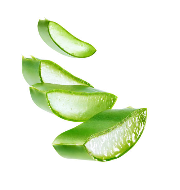 istock Aloe Vera slices isolated on white background - clipping path included 1167492993