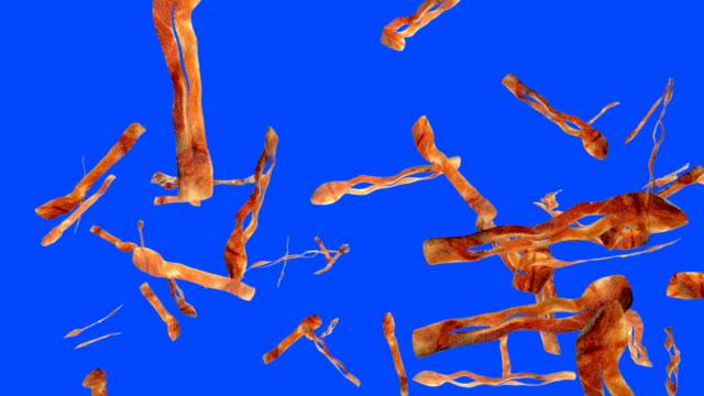 Fried bacon flying in slow motion against Blue Screen