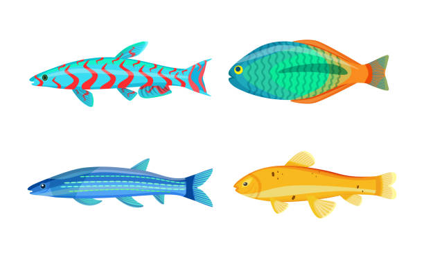 Mackerel Blue Fish Zebra Mbuna Vector Illustration Mackerel blue fish and zebra mbuna set. Marine aquatic organisms with mouth, eyes and gills. Underwater creatures isolated on vector illustration metriaclima estherae red zebra stock illustrations