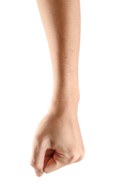 istock visible veins arm and hand isolated on a white background 1167498561