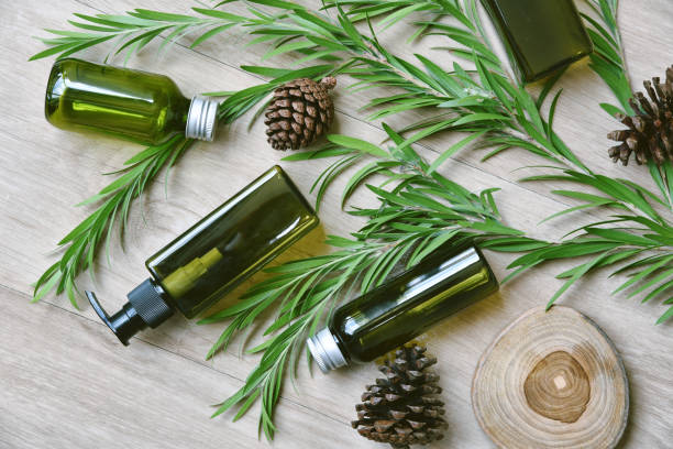istock Cosmetic bottle containers packaging with green herbal leaves, Blank label for organic branding mock-up, Natural skincare beauty product concept. 1167499623