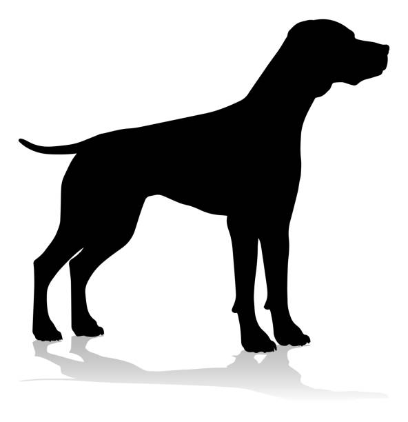 illustrazioni stock, clip art, cartoni animati e icone di tendenza di cane silhouette animale domestico - cracco
