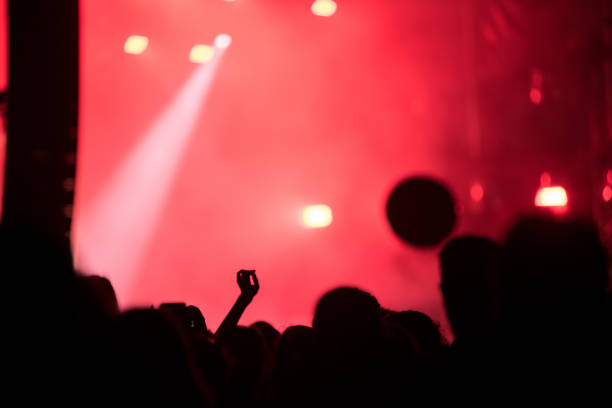 istock Silhouette of concert crowd and stage lights 1167503235