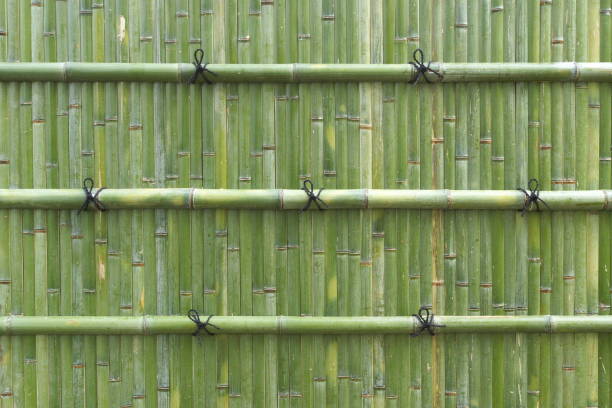 istock Japanese fresh green bamboo wall 1167503304