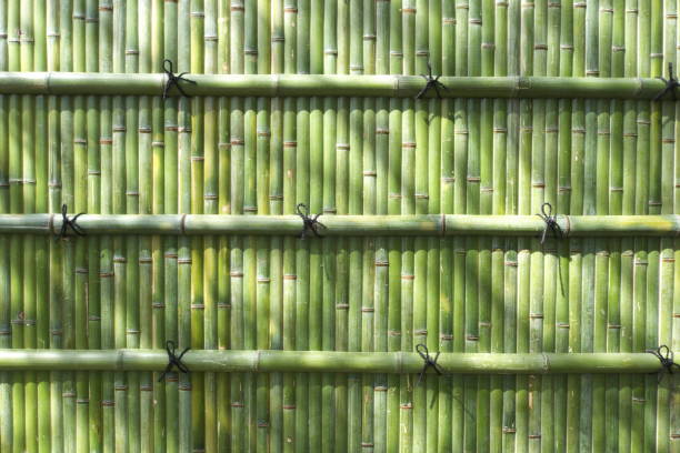 Japanese fresh green bamboo wall