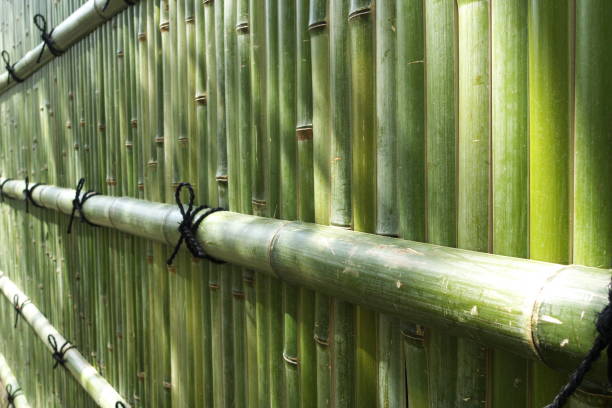 istock Japanese fresh green bamboo wall 1167503353