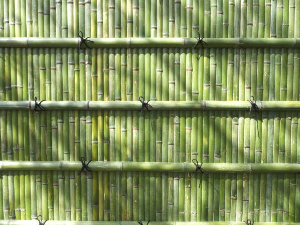 istock Japanese fresh green bamboo wall 1167503358